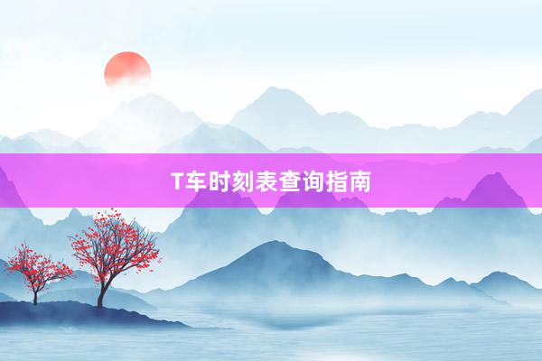 T车时刻表查询指南