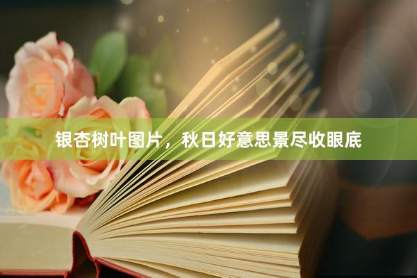银杏树叶图片，秋日好意思景尽收眼底