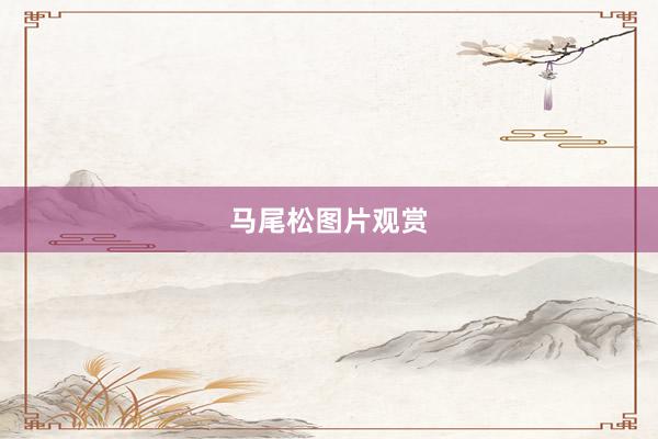 马尾松图片观赏