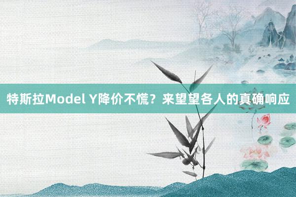 特斯拉Model Y降价不慌？来望望各人的真确响应