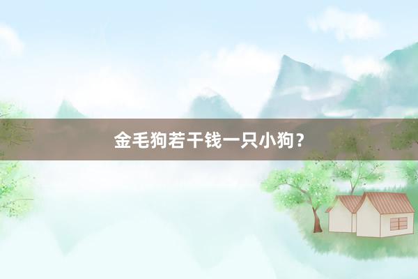 金毛狗若干钱一只小狗？